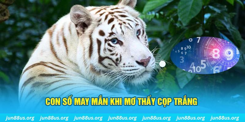 Con số may mắn khi mơ thấy cọp trắng