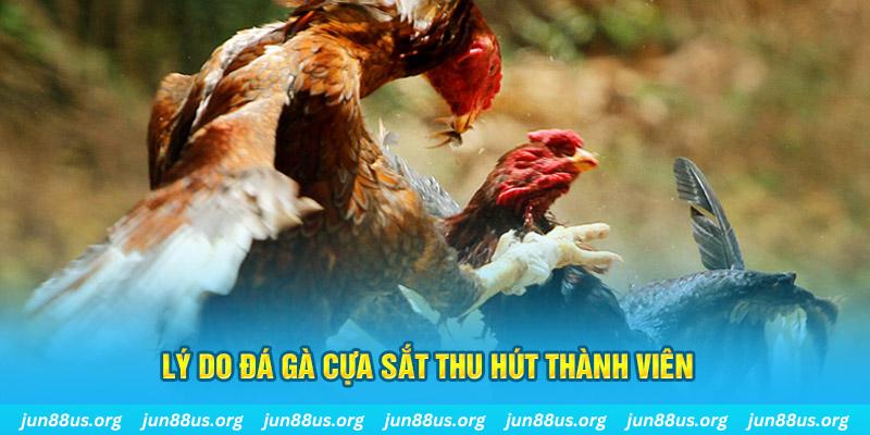 Lý do thể loại này thu hút được nhiều thành viên tham gia