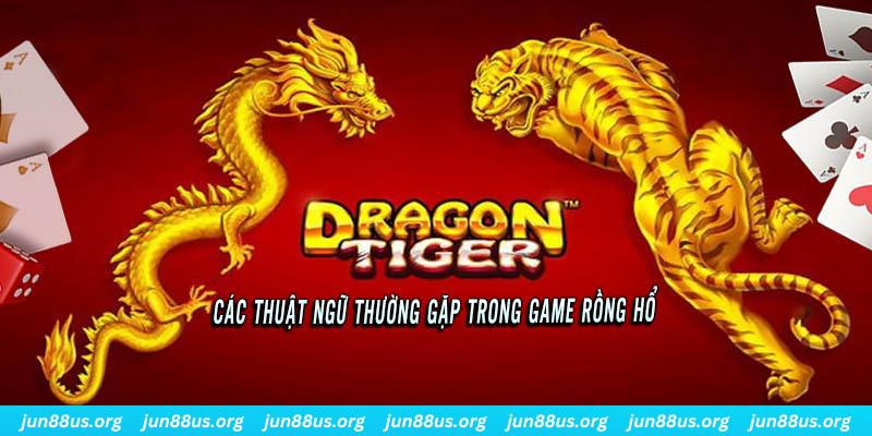 Một vài thuật ngữ thông dụng cần nắm trước khi tham gia