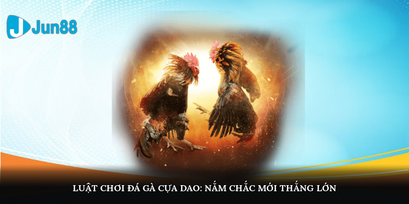 Luật chơi đá gà cựa dao: Nắm chắc mới thắng lớn