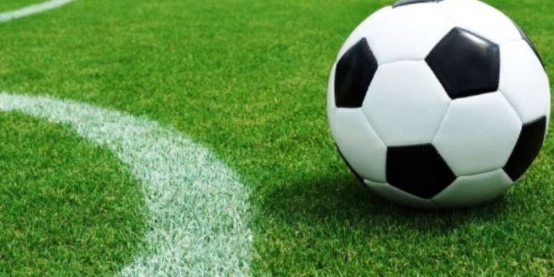 Sự thay đổi tỷ lệ của kèo 0-0.5 qua từng giai đoạn