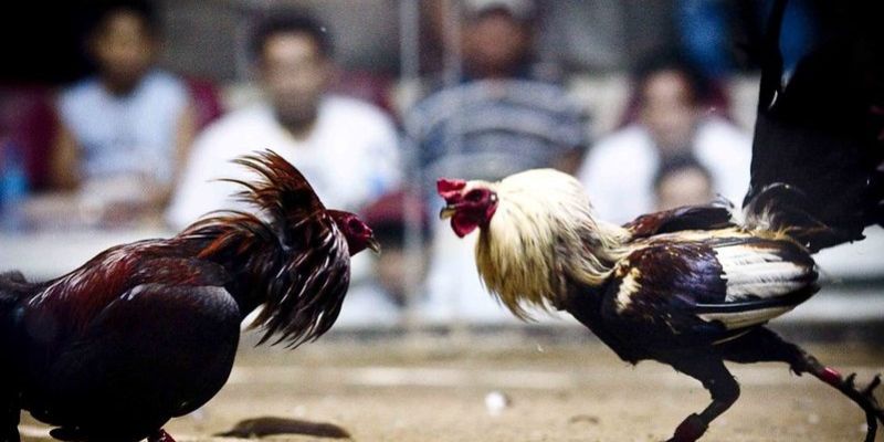 Tính năng đều được thiết kế hiện đại